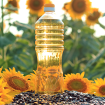 Usiamo spesso olio di girasole, ma quanto è sano?