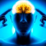 Il miglior integratore per il cervello, necessario in tutte le fasi della vita. Aumenta il quoziente intellettivo e previene la perdita di memoria
