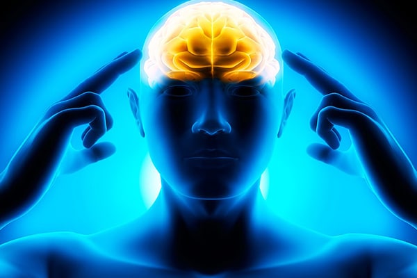 Il miglior integratore per il cervello, necessario in tutte le fasi della vita. Aumenta il quoziente intellettivo e previene la perdita di memoria