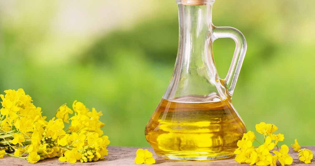 Olio di colza: quanto è sano e quali benefici ha?