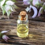 Dai miglioramento della salute del cuore alla stimolazione della vista, l’olio di salvia ha molti benefici eccezionali: modalità d’uso + controindicazioni