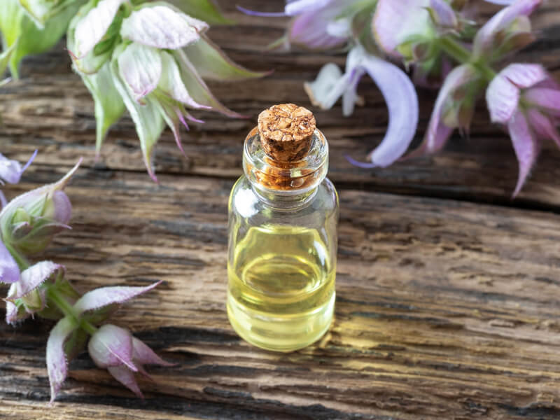 Dai miglioramento della salute del cuore alla stimolazione della vista, l’olio di salvia ha molti benefici eccezionali: modalità d’uso + controindicazioni