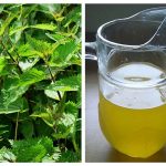 Elisir di primavera: sciroppo di ortiche fatto in casa, semplice e sano