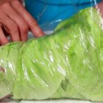 Compressori con foglie di cavolo: quando funzionano e quando no