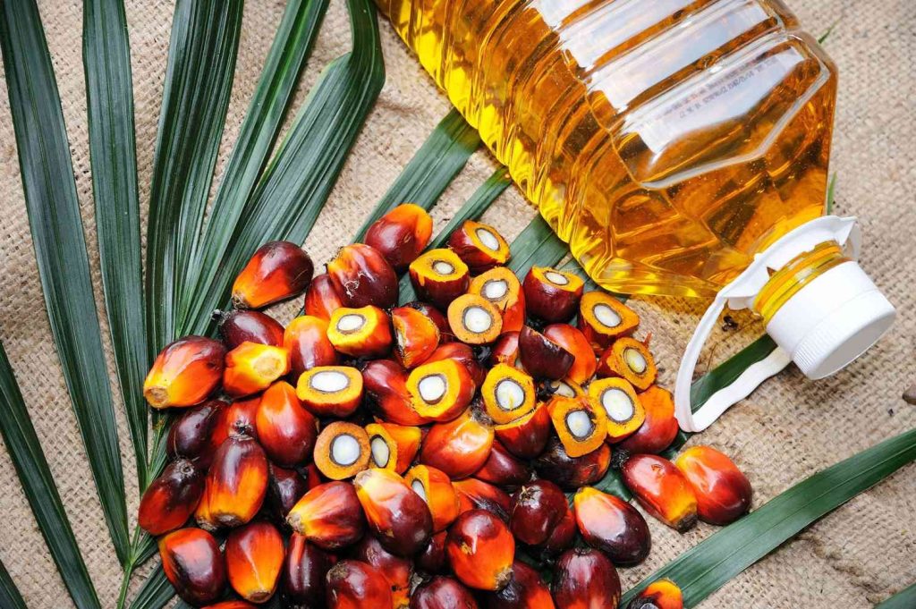 Il pericolo del consumo di olio di palma e perché lo troviamo in quasi tutti i prodotti