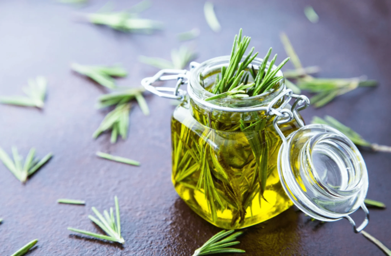 Olio di rosmarino: ricetta di preparazione e utilizzi terapeutici dimostrati