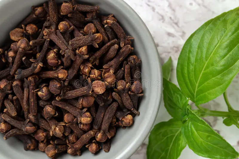 Come si fa il vino medicinale con basilico e chiodi di garofano