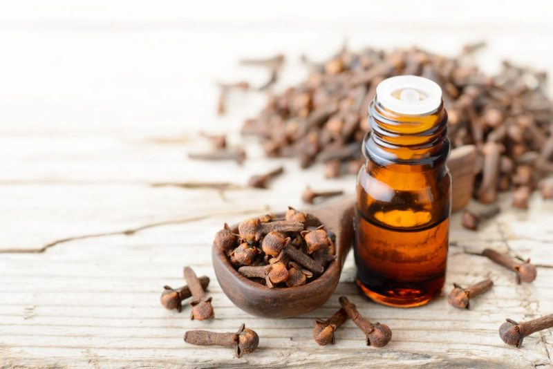 L’olio di chiodi di garofano: come usarlo correttamente per il dolore dentale