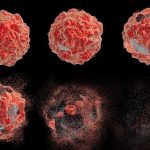 Il digiuno con acqua: attiva l’apoptosi, il meccanismo naturale attraverso il quale il corpo elimina le cellule malate o precancerose