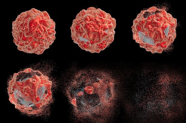 Il digiuno con acqua: attiva l’apoptosi, il meccanismo naturale attraverso il quale il corpo elimina le cellule malate o precancerose