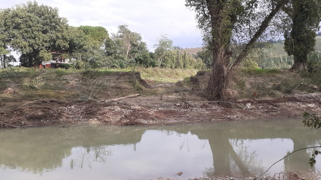 Alluvioni del 2024: nuove disposizioni per le imprese agricole colpite, procedure semplificate
