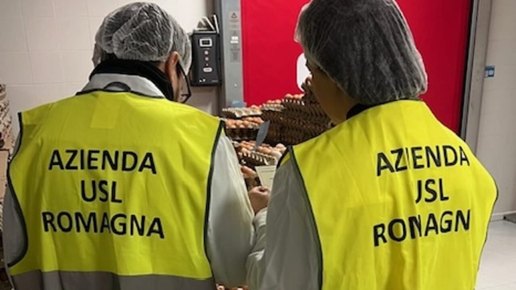 Prevenzione veterinaria: un pilastro invisibile della salute pubblica in Romagna