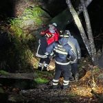 Escursionisti smarriti nel bosco: operazione di soccorso tempestiva e risolutiva