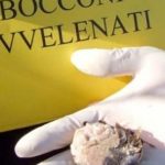 Emergenza avvelenamento: tre cani morti. La comunità è in allerta.