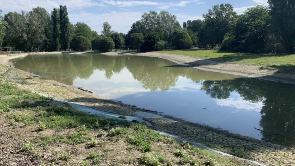 Il Parco Urbano di Forlì: Rinasce il laghetto, ma la sfida è ancora grande