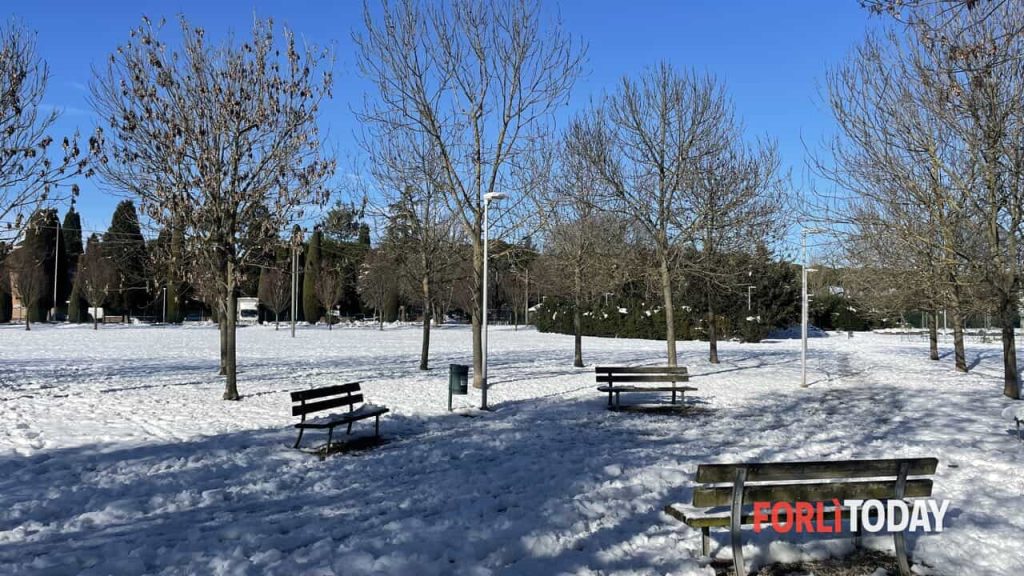 Spese stratosferiche per la nevicata dell’Epifania: 150 mila euro per il ripristino degli alberi danneggiati