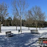 Spese stratosferiche per la nevicata dell’Epifania: 150 mila euro per il ripristino degli alberi danneggiati