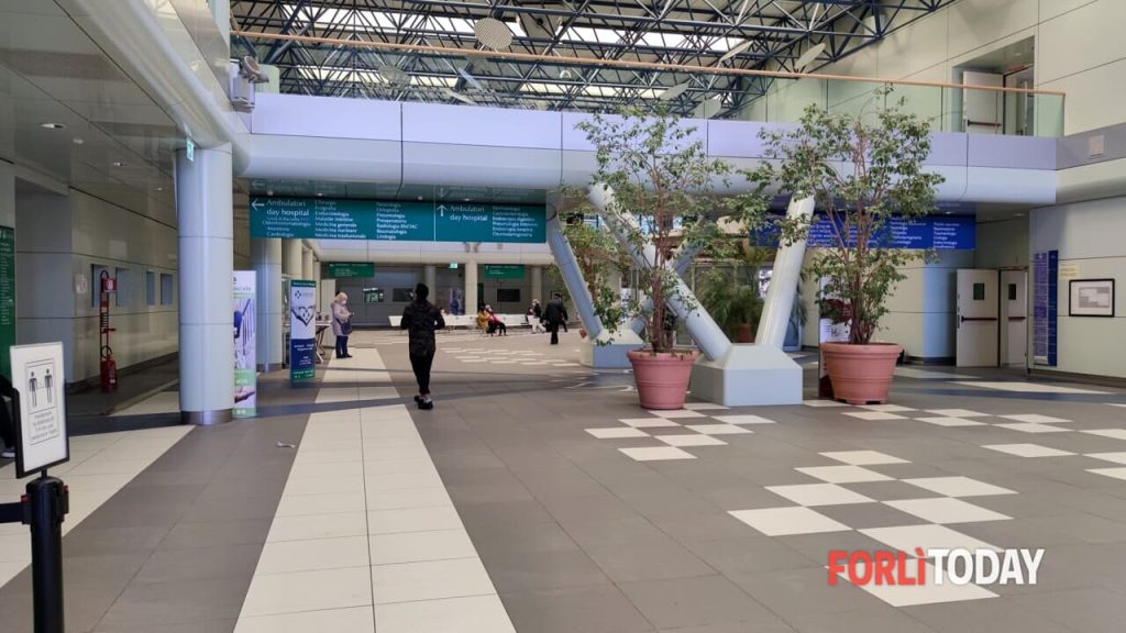 Avo Forlì-Forlimpopoli lancia un appello urgente: nuovi volontari cercasi