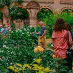 La Rivelazione Verde: “Zardin” Ritorna e Sfida la Città