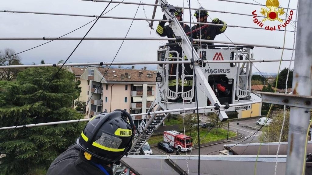 Maltempo in Romagna: interventi massivi dei Vigili del Fuoco
