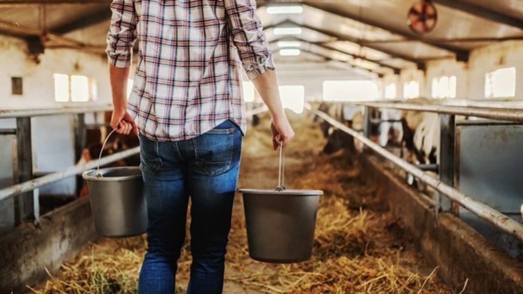 Agricoltura: Il Pilastro Economico della Provincia, Doppio Rispetto alla Media Nazionale