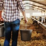 Agricoltura: Il Pilastro Economico della Provincia, Doppio Rispetto alla Media Nazionale