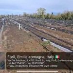 Coldiretti: Danni devastanti nei frutteti, il ritorno delle gelate mette a rischio la produzione