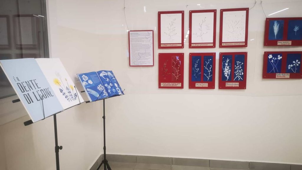“Forlì: Riscoprire il Paesaggio attraverso un Workshop di Lettura Visiva”