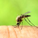 Progetto Rotary a Forlimpopoli: una battaglia contro la malaria in Angola