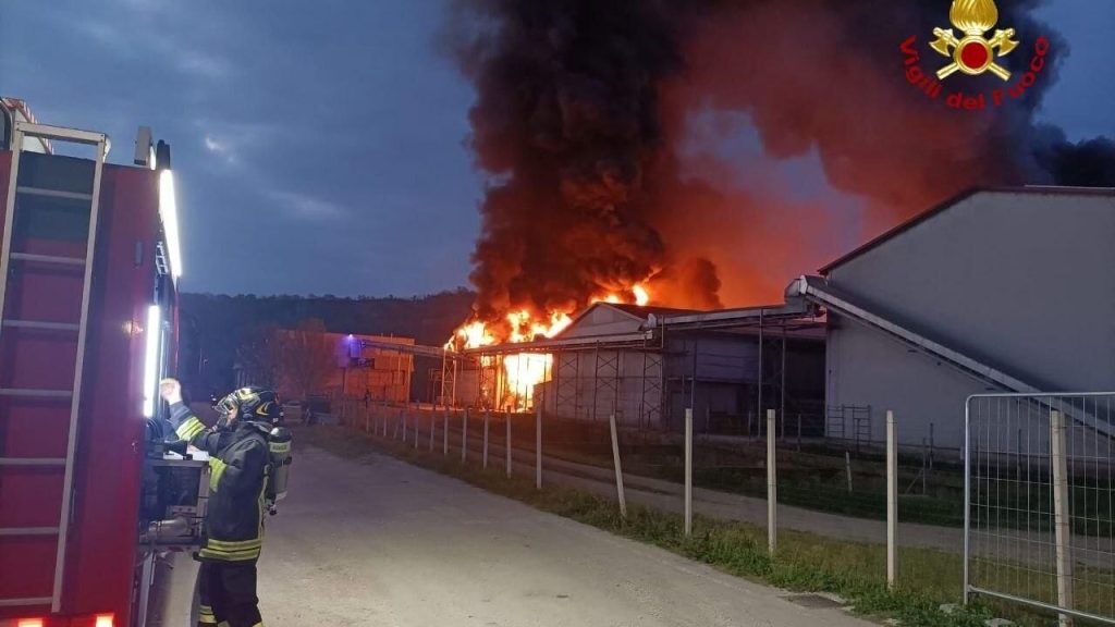 Incendio all’allevamento di San Colombano: fumi tossici esclusi, nessun animale coinvolto