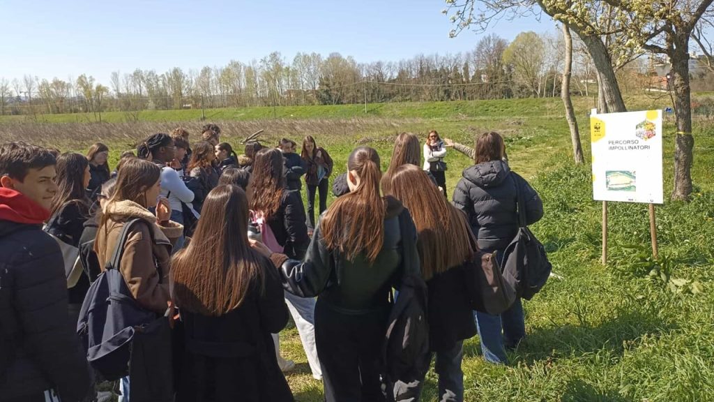 Dalla Legalità alla Natura: Gli Studenti del Morgagni Incontrano il Futuro