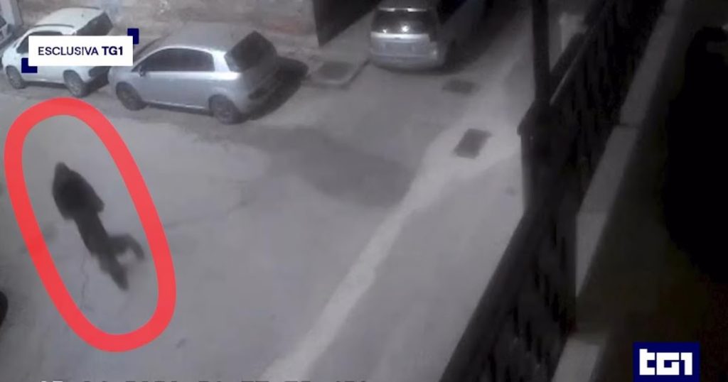 Omicidio Dino Carta a Foggia: un video inquietante rivela il presunto killer