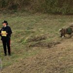 Tragedia nei campi: uomo di 50 anni muore intrappolato nella fresa di un trattore