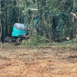 Ex Eridania: gli ambientalisti smascherano il piano del Comune per distruggere bosco e garzaia