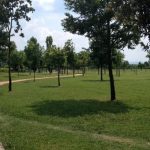 Un balzo temporale: Pasquetta anticipa l’estate