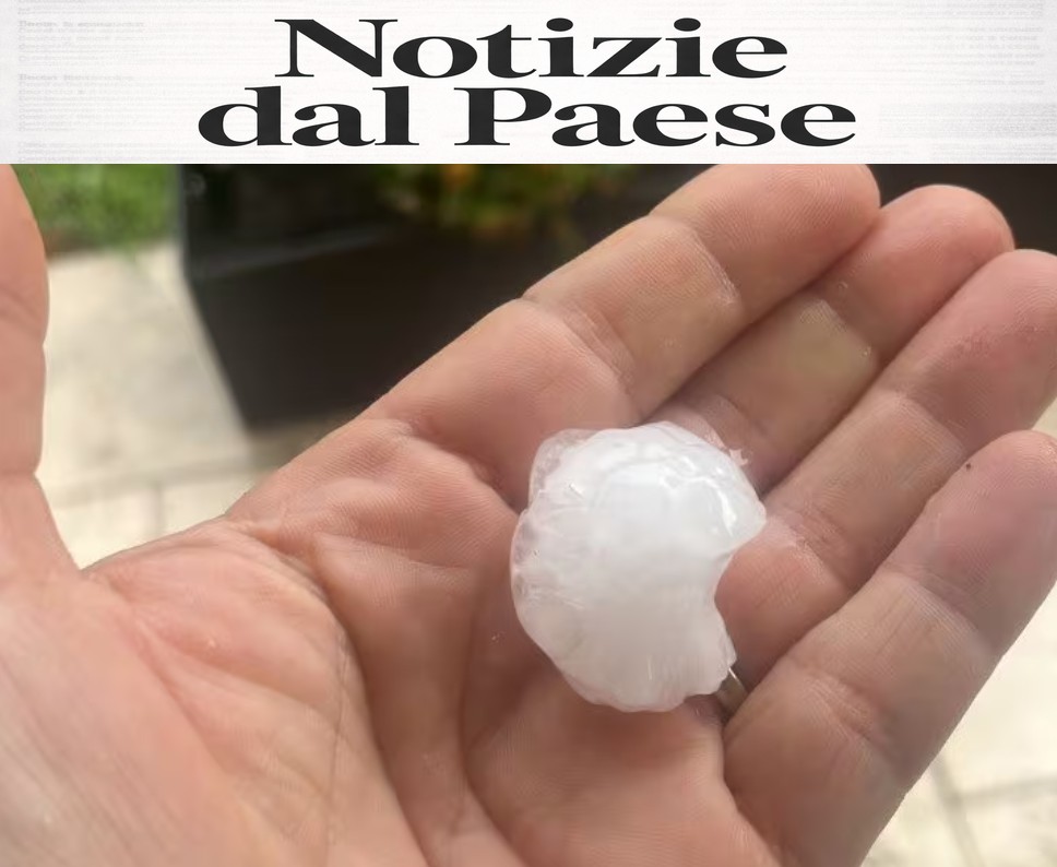 Maltempo devasta il Milanese: alberi a terra e caos nelle strade